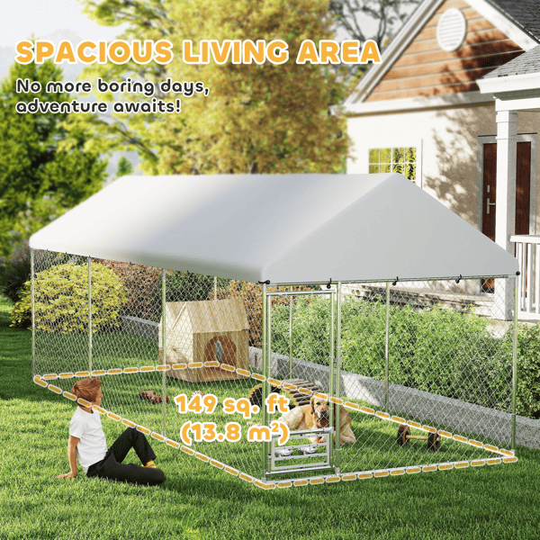 Dog Kennel Dog Kennel